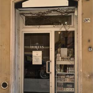 Negozio In Affitto a Modena